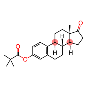 ESTRONE TRIMETHYLACETATE