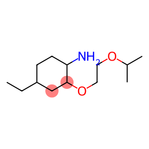 4-ethyl-2-[2-(propan-2-yloxy)ethoxy]cyclohexan-1-amine