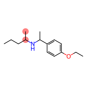 [1-(4-ethoxyphenyl)ethyl](pentan-2-yl)amine