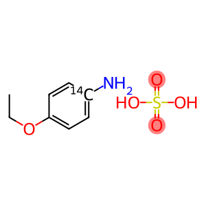 4-ETHOXYANILINE, SULFATE, [RING-14C]-