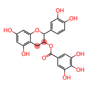 Epicatechin  gallate  solution