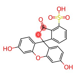 fluorescein sulfonic acid