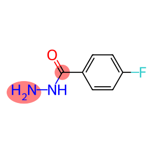 4-Fluoro Benzoyl Hydrazine