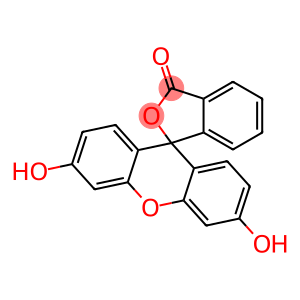 显微镜检查法用荧光素