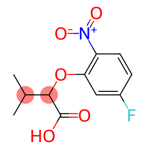 2-(5-fluoro-2-nitrophenoxy)-3-methylbutanoic acid