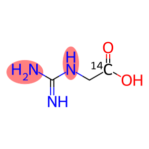 GUANIDINEACETIC ACID, [1-14C]-