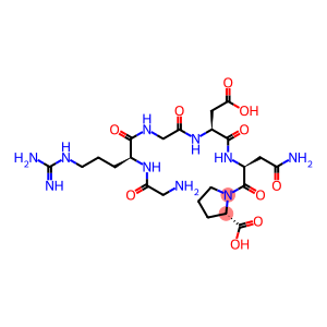 glycyl-arginyl-glycyl-aspartyl-asparaginyl-proline