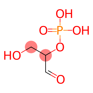 GLYCERALDEHYDE PHOSPHATE