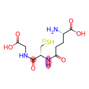 GLUTATHIONE, L-35S