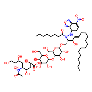 GM3 LABELLED BY NBD AMMONIUM