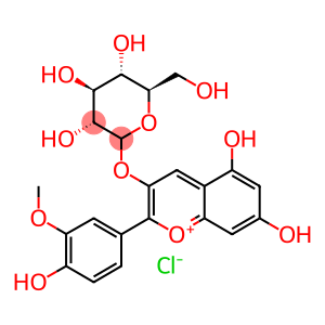 3-(GLUCOSYLOXY)-4',5,7-TRIHYDROXY-3'-METHOXYFLAVYLIUM CHLORIDE