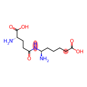 GAMMA-GLUTAMYL-EPSILON-LYSINE