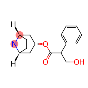 HYOSCYAMINE IMPURITY E