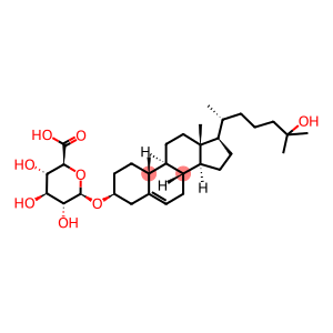 25-HYDROXYCHOLESTEROL GLUCURONIDE