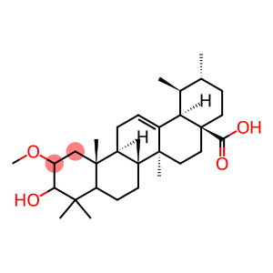 3-hydroxy-2-methoxyurs-12-en-28-oic acid