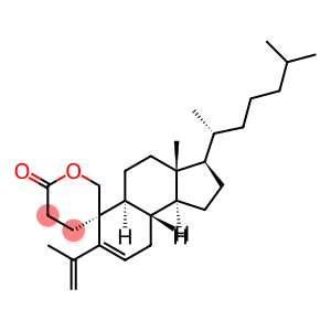 19-Hydroxy-4-methylene-4-methyl-3,4-secocholest-5-en-3-oic acid lactone