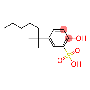 2-HYDROXY-5-TERT-OCTYLBENZENESULFONIC ACID