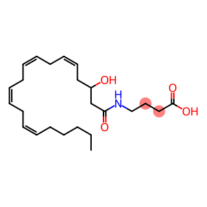 4-[[(3-HYDROXY)-1-OXO-5Z,8Z,11Z,14Z-EICOSATETRAENYL]AMINO]-BUTANOIC ACID