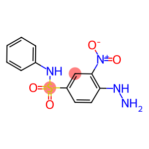 4-HYDRAZINO-3-NITRO-N-PHENYL-BENZENESULFONAMIDE