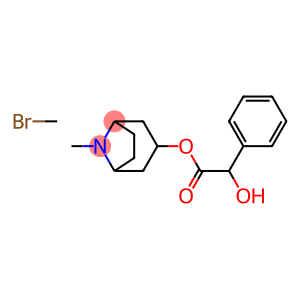 homatropine methyl bromide USP