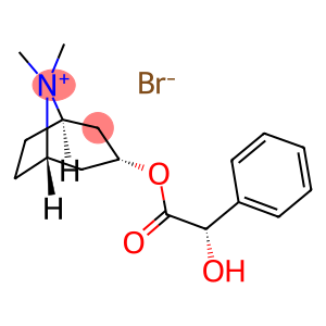 (+)-HOMATROPINE METHYLBROMIDE