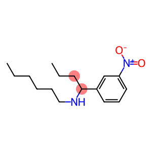 hexyl[1-(3-nitrophenyl)butyl]amine