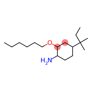 2-(hexyloxy)-4-(2-methylbutan-2-yl)cyclohexan-1-amine