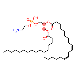 1-hexadecanoyl-2-(9Z,12Z-octadecadienoyl)-sn-glycero-3-phosphoethanolamine