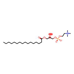 3-HEXADECANOYL-SN-GLYCERO-1-PHOSPHOCHOLINE