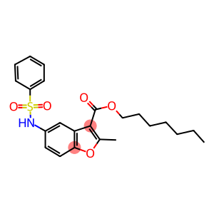 HEPTYL 2-METHYL-5-(PHENYLSULFONAMIDO)BENZOFURAN-3-CARBOXYLATE