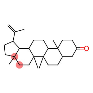 1-isopropenyl-3a,5a,5b,11a-tetramethylicosahydro-9H-cyclopenta[a]chrysen-9-one