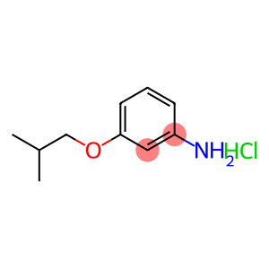 3-isobutoxyaniline hydrochloride