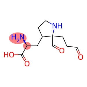 Lysine, gamma glutamyl, N epsilon A