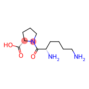 L-LYSYL-L-PROLINE