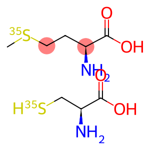 L-METHIONINE 35S AND L-CYSTEINE 35S