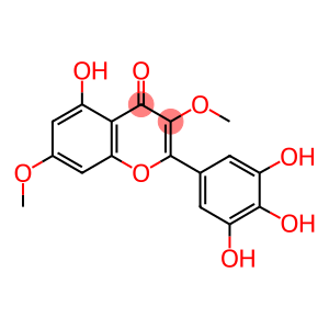 MYRICETIN 3,7-DIMETHYL ETHER