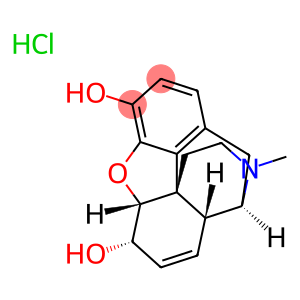 MorphineHcl