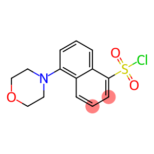 5-MORPHOLIN-4-YL-NAPHTHALENE-1-SULFONYL CHLORIDE