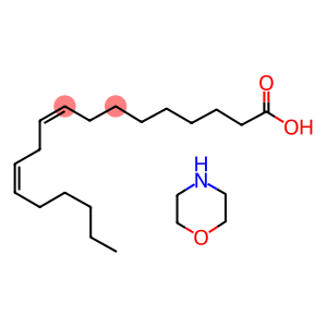 MORPHOLINE LINOLEATE