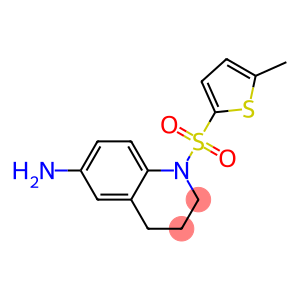 1-[(5-methylthiophene-2-)sulfonyl]-1,2,3,4-tetrahydroquinolin-6-amine