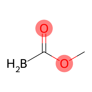 methyl boranylformate