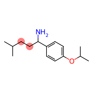 4-methyl-1-[4-(propan-2-yloxy)phenyl]pentan-1-amine