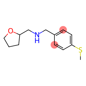 (4-METHYLSULFANYL-BENZYL)-(TETRAHYDRO-FURAN-2-YLMETHYL)-AMINE
