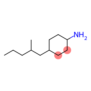 4-(2-Methylpentyl)cyclohexanamine