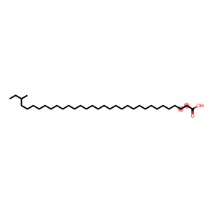 31-Methyltritriacontanoic acid