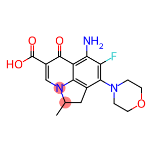 2-Methyl-6-amino-7-fluoro-8-morpholino-1,2-dihydro-5-oxo-5H-2a-azaacenaphthylene-4-carboxylic acid