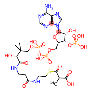 METHYLMALONYL COENZYME A, DL-2, [METHYL-14C]