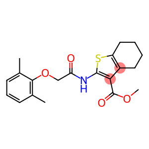 methyl 2-{[2-(2,6-dimethylphenoxy)acetyl]amino}-4,5,6,7-tetrahydro-1-benzothiophene-3-carboxylate