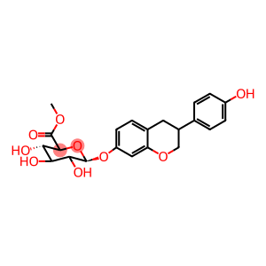 Methyl Equol-7-yl--D-glucopyranosidurinate