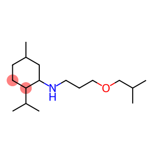 5-methyl-N-[3-(2-methylpropoxy)propyl]-2-(propan-2-yl)cyclohexan-1-amine